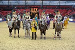 Quadrille - 00927
